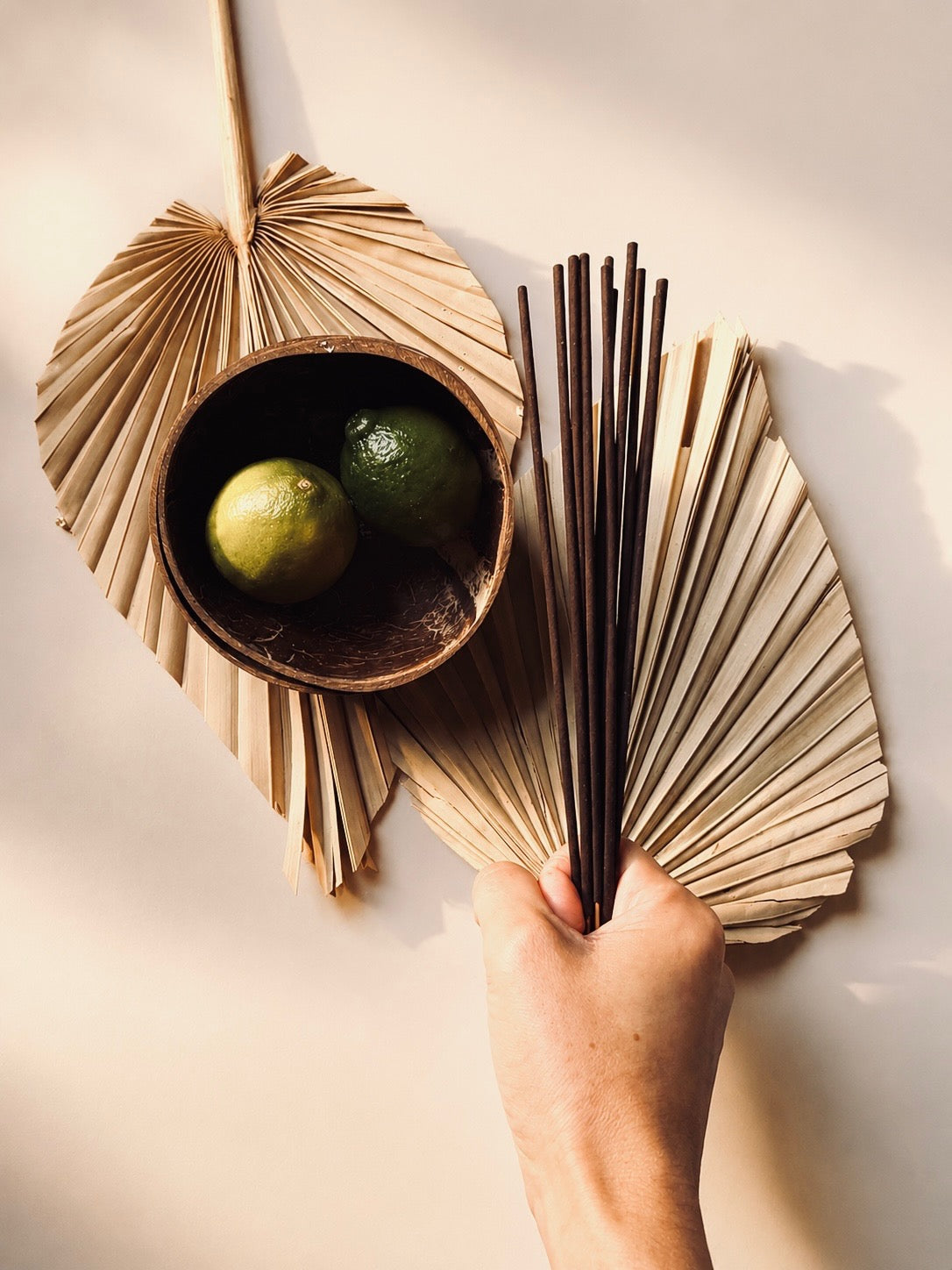 CASA Curated