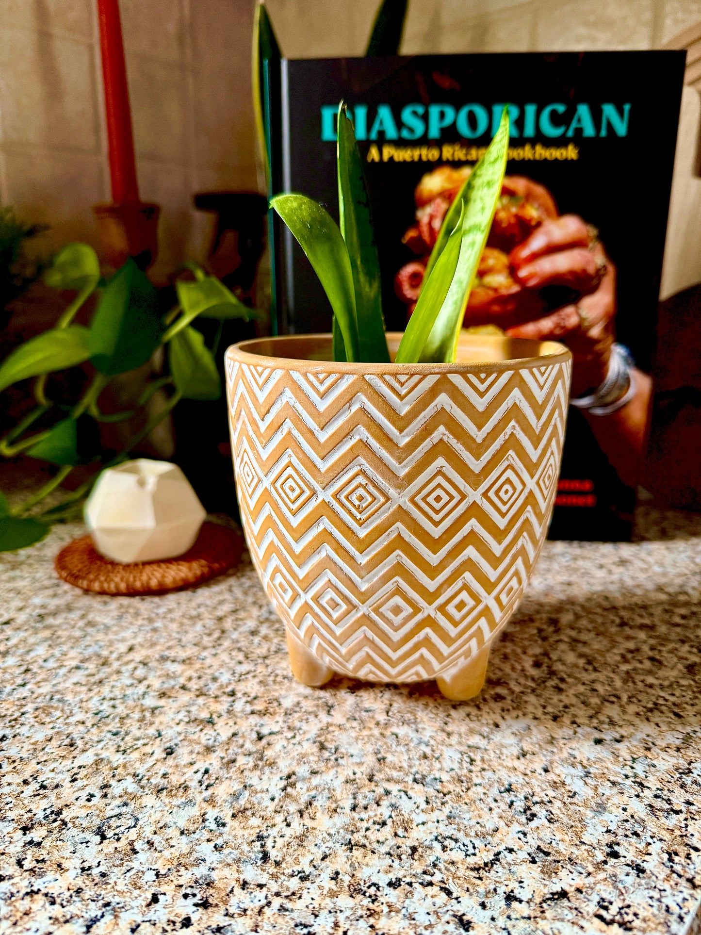 Saffron Planter