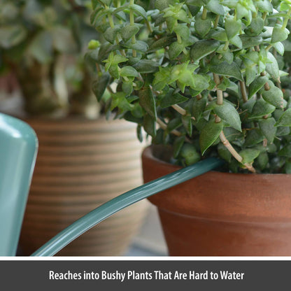 Watering Vessel