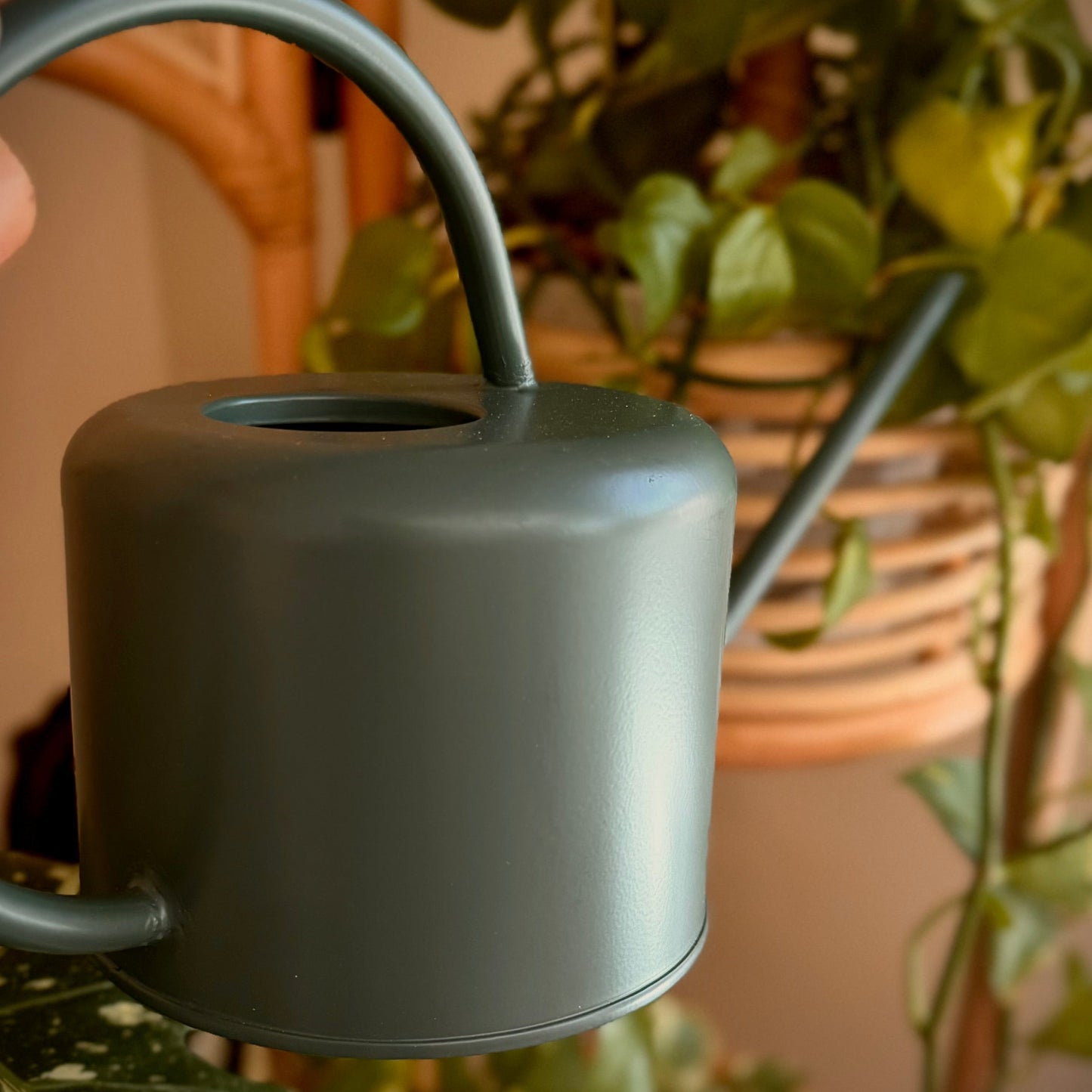 Watering Vessel
