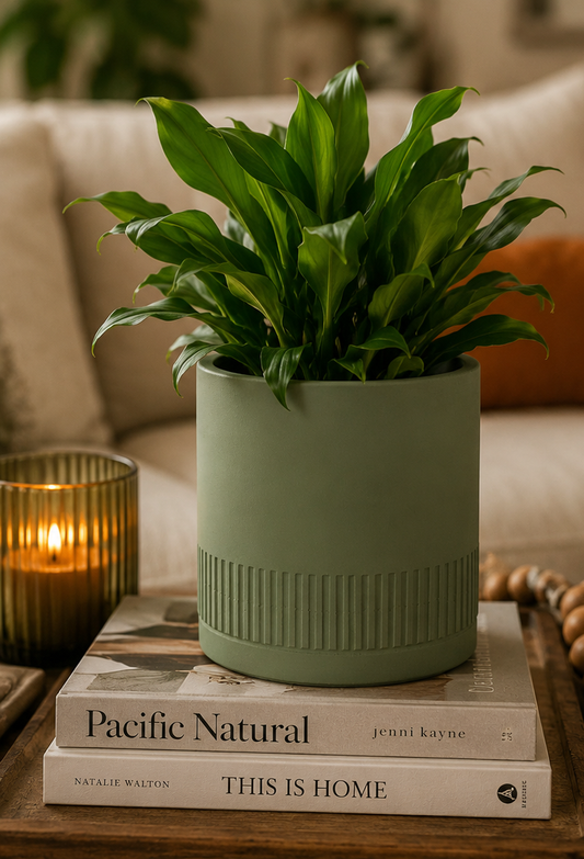 Verde Concrete Planter